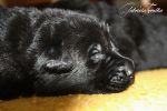 IMG_1070