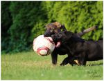 IMG_8227